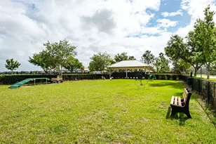 1653 Nature View Dr, Lutz, FL 33558 - Photo 95