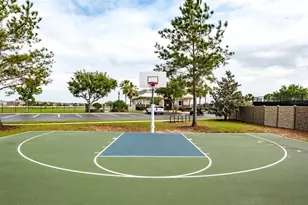 1653 Nature View Dr, Lutz, FL 33558 - Photo 87