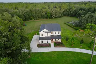 2890 Alexandria Marie Ln, Lutz, FL 33559 - Photo 3