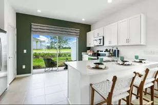 13193 Forge Ave, Parrish, FL 34219 - Photo 9