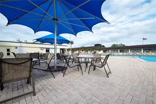 319 Linger Ln, Sun City Center, FL 33573 - Photo 45