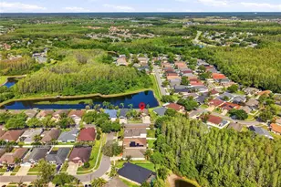 3345 Brenford Pl, Land O Lakes, FL 34638 - Photo 45