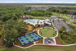 9845 Sword Fern Wy, Land O Lakes, FL 34637 - Photo 59