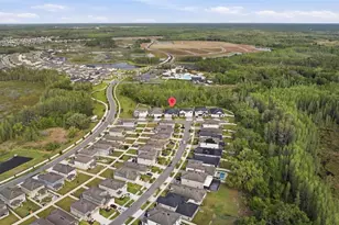 9845 Sword Fern Wy, Land O Lakes, FL 34637 - Photo 55