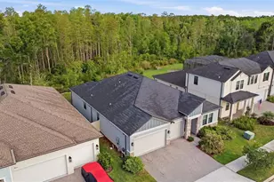 9845 Sword Fern Wy, Land O Lakes, FL 34637 - Photo 51