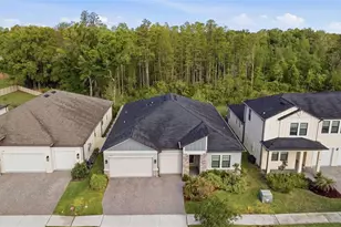 9845 Sword Fern Wy, Land O Lakes, FL 34637 - Photo 49