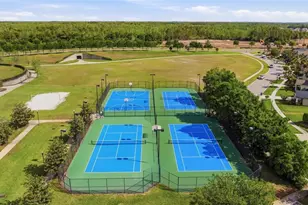 9845 Sword Fern Wy, Land O Lakes, FL 34637 - Photo 63
