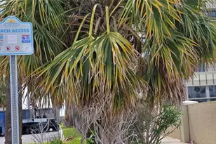 175 55th Ave, Saint Pete Beach, FL 33706 - Photo 29