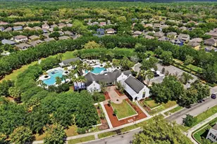 15526 Starling Crossing Dr, Lithia, FL 33547 - Photo 49