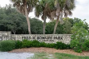 1312 Gulf Rd, Tarpon Springs, FL 34689 - Photo 49