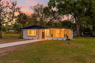 11503 Colony Hill Dr, Seffner, FL 33584 - Photo 3