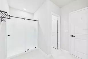 38707 Finn Clover Ln, Zephyrhills, FL 33540 - Photo 19