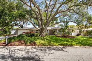 1218 Taylor Ave, Dunedin, FL 34698 - Photo 35