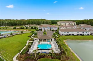 4327 Cloud Hopper Wy, Lutz, FL 33559 - Photo 59