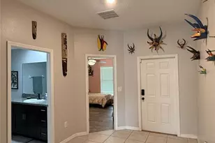 146 Rain Berry Ave, Ruskin, FL 33570 - Photo 7