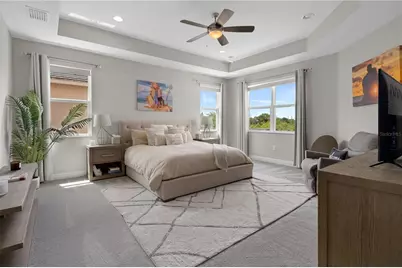 30351 Tristania Court, Wesley Chapel, FL 33543 - Photo 49