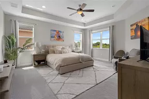 30351 Tristania Ct, Wesley Chapel, FL 33543 - Photo 49