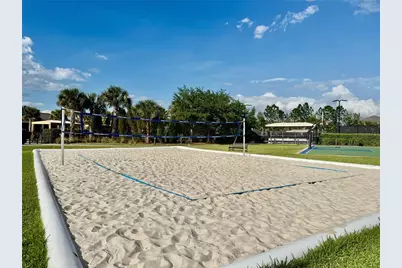 30351 Tristania Court, Wesley Chapel, FL 33543 - Photo 83