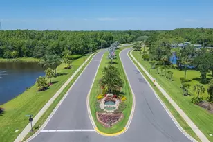 3516 Shadowood Dr, Valrico, FL 33596 - Photo 53