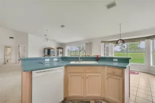 11203 Sun Tree Rd, Hudson, FL 34667 - Photo 15