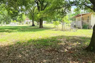 26739 Foamflower Blvd, Wesley Chapel, FL 33544 - Photo 23