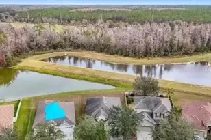 10918 Ancient Futures Dr, Tampa, FL 33647 - Photo 1