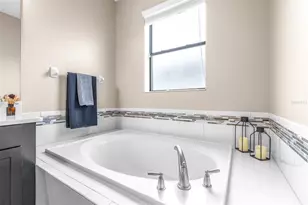 21827 Billowy Jaunt Dr, Land O Lakes, FL 34637 - Photo 21