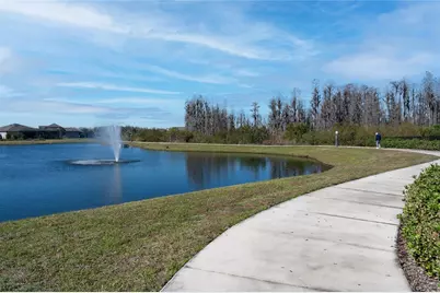 5989 Shorebird Branch, Land O Lakes, FL 34638 - Photo 47