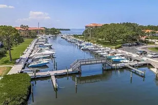 1806 Mariner Dr, Tarpon Springs, FL 34689 - Photo 77