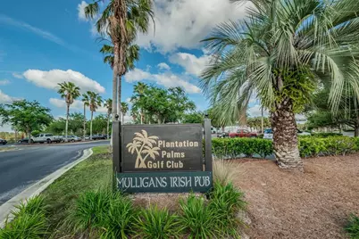 3054 Banyan Hill Lane, Land O Lakes, FL 34639 - Photo 45