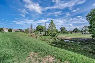 3054 Banyan Hill Ln, Land O Lakes, FL 34639 - Photo 39