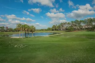 3054 Banyan Hill Ln, Land O Lakes, FL 34639 - Photo 43