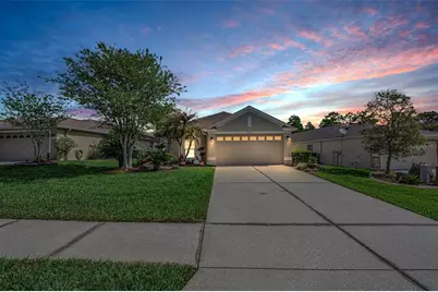 3054 Banyan Hill Lane, Land O Lakes, FL 34639 - Photo 71