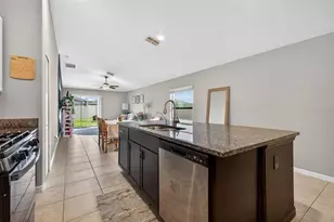 9324 Lemon Drop Loop, Sun City Center, FL 33573 - Photo 9