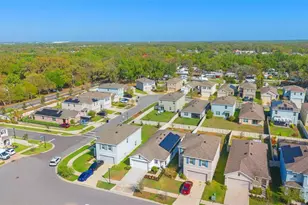 10918 Trailing Vine Dr, Tampa, FL 33610 - Photo 31