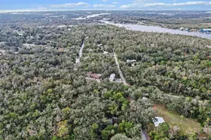 10460 W New York St, Homosassa, FL 34448 - Photo 41