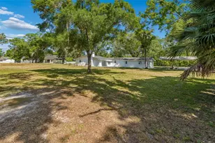 608 Krazy Ln, Lutz, FL 33548 - Photo 47