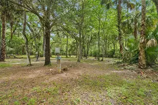 217 S Tuck Point, Inverness, FL 34450 - Photo 17