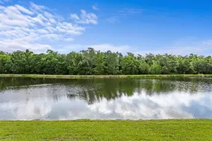 8519 Portage Ave, Tampa, FL 33647 - Photo 3