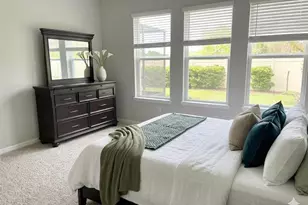 10569 Tranquil Meadow Loop, Riverview, FL 33569 - Photo 11
