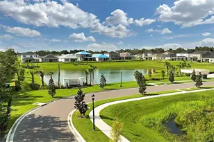 10569 Tranquil Meadow Loop, Riverview, FL 33569 - Photo 31