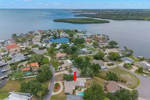 125 Carlyle Dr, Palm Harbor, FL 34683 - Photo 35