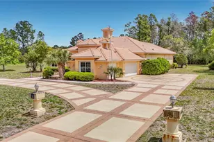 9460 Bearfoot Trail, Weeki Wachee, FL 34613 - Photo 9