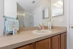 25831 Syme Ct, Land O Lakes, FL 34639 - Photo 19