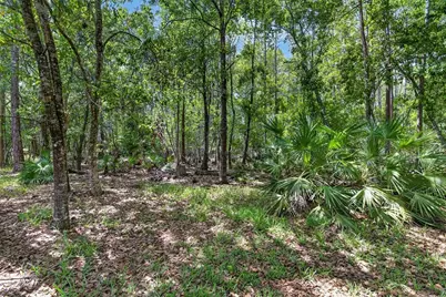 21234 Tangor Road, Land O Lakes, FL 34637 - Photo 53