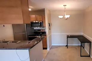 302 Lake Parsons Green, Brandon, FL 33511 - Photo 3