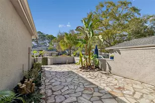 115 Steeplechase Ln, Palm Harbor, FL 34684 - Photo 7