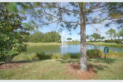 30399 Marquette Avenue, Wesley Chapel, FL 33545 - Photo 29