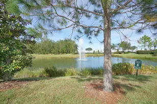 30399 Marquette Ave, Wesley Chapel, FL 33545 - Photo 29