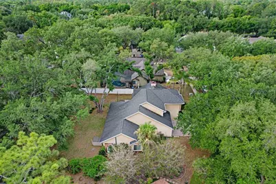 6214 Farthing Street, Tampa, FL 33647 - Photo 35